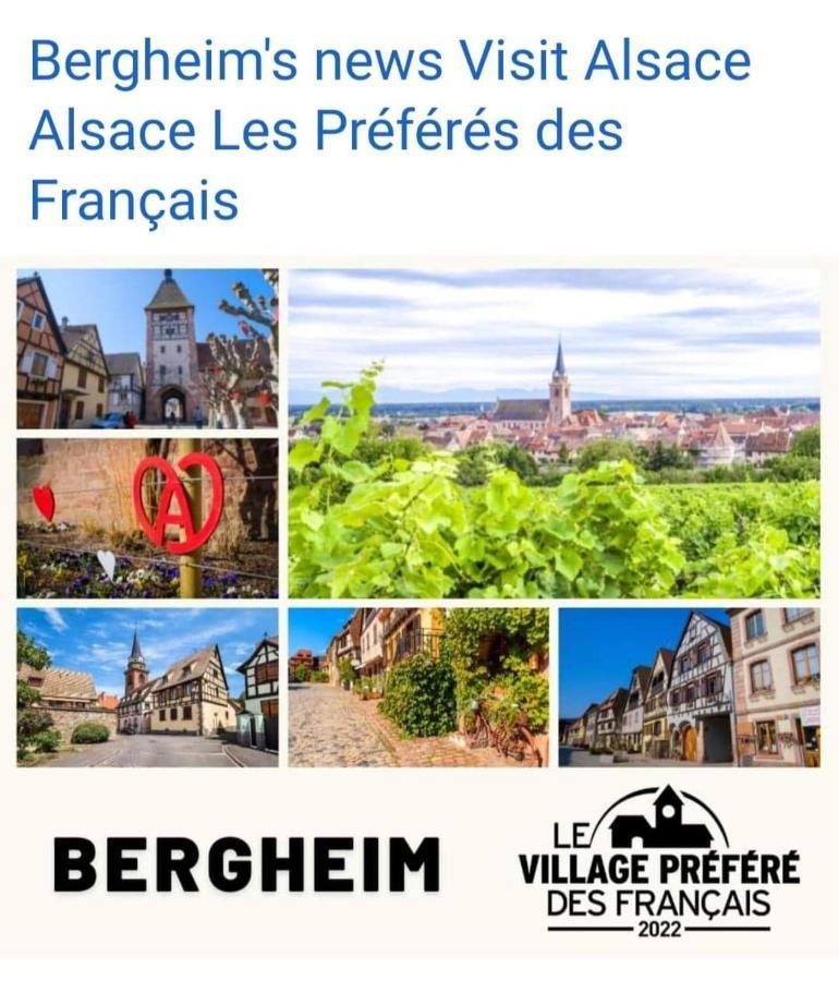 La Maison Des Tanneurs Рибовиль Экстерьер фото