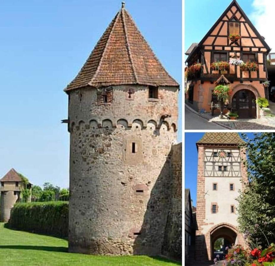La Maison Des Tanneurs Рибовиль Экстерьер фото